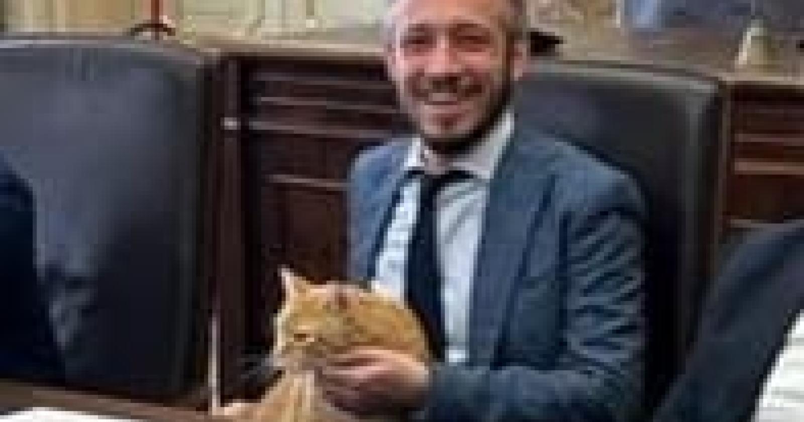 Gatto Rossini si lancia in braccio al presidente della Provincia