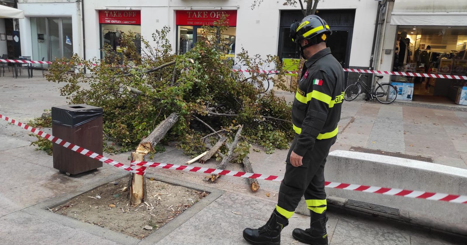 Camion stronca gli alberi sul Corso