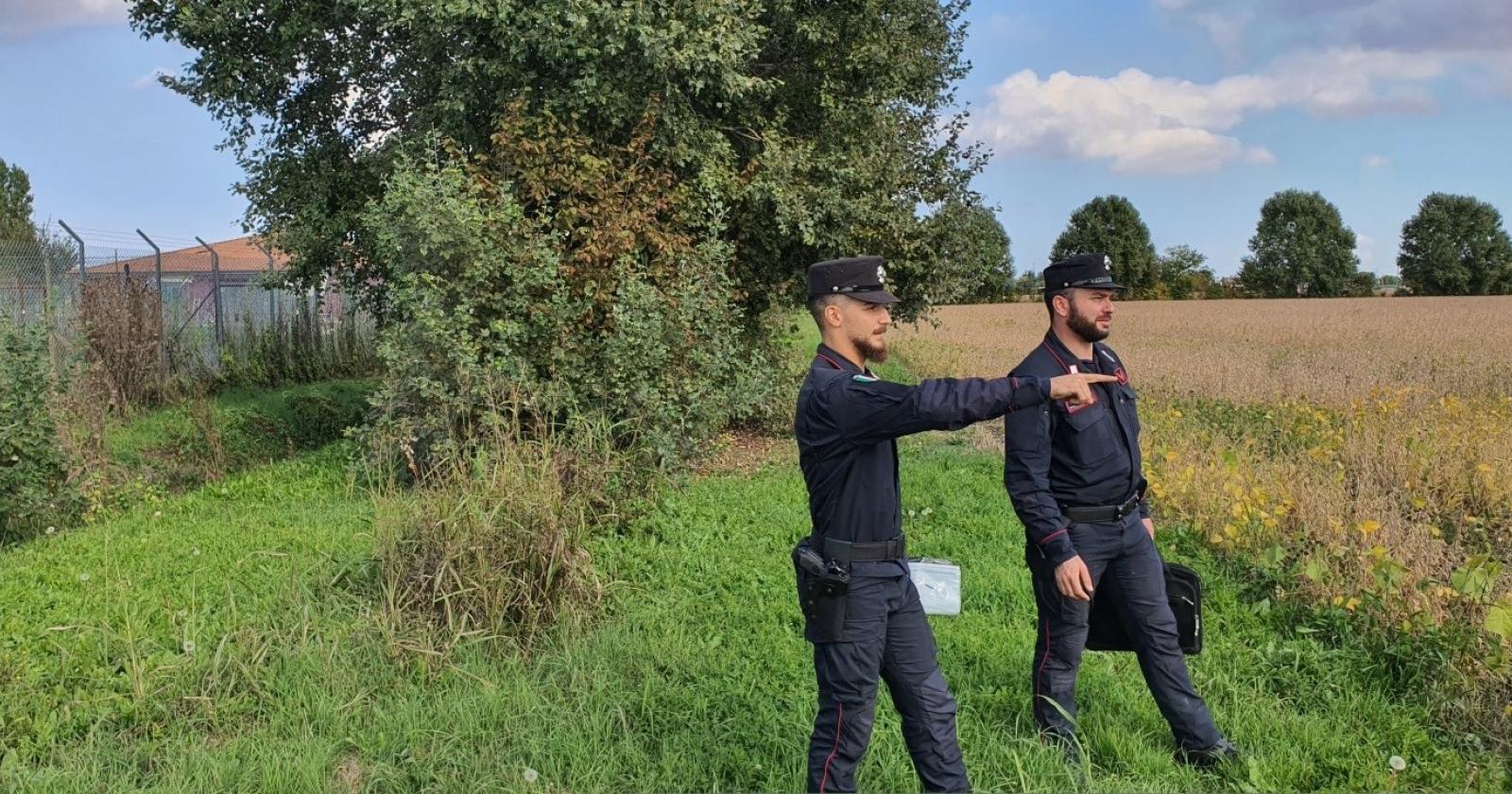 Canapa sativa, partiti i controlli