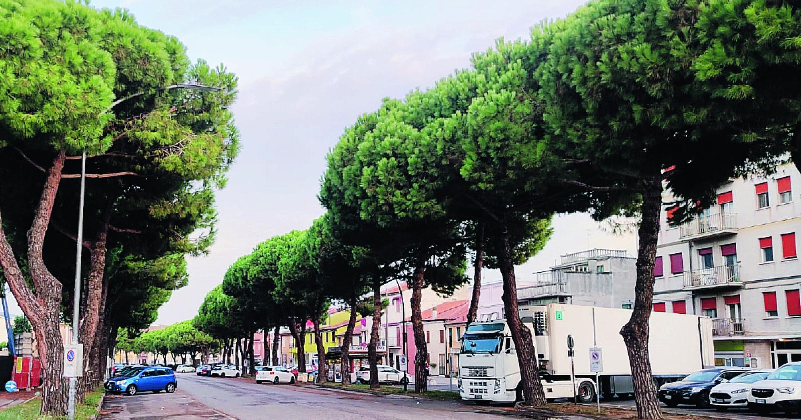 Canareggio, progetto da rivedere