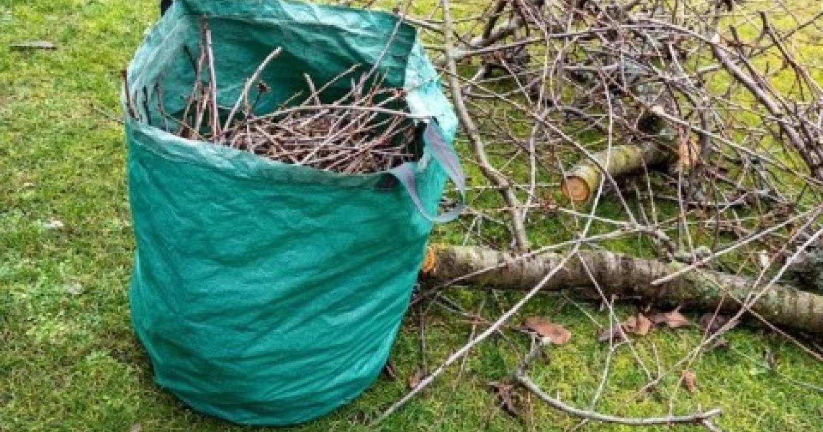 Nel Delta stop all’utilizzo dei sacchi per la raccolta del verde anche nei Comuni 