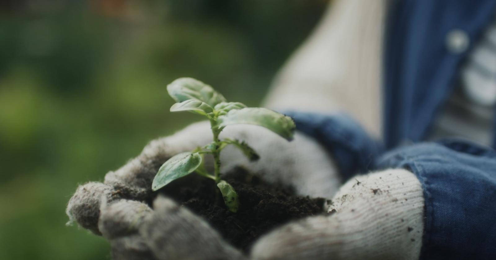 Lusia, parte il progetto del Giardino dei Bambini 