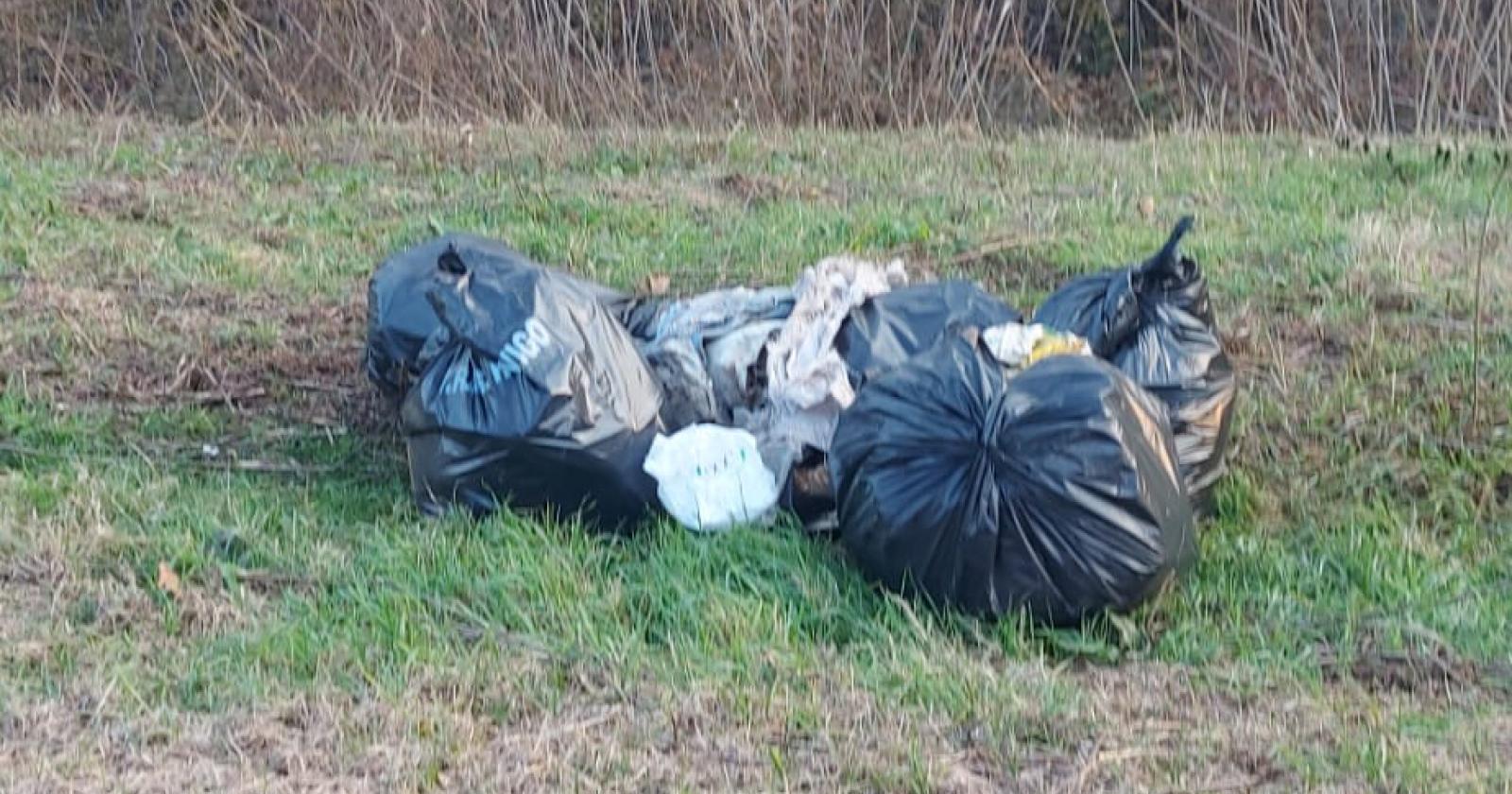 Ecovandali ancora in azione. "E poi incendi e furti"