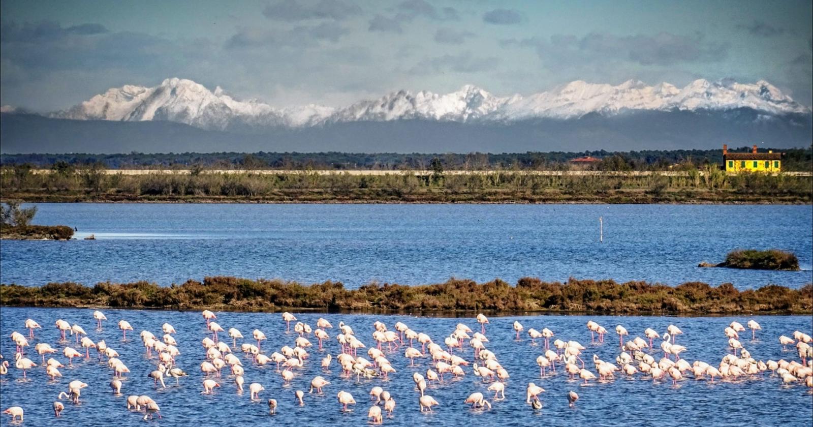 Le valli di Rosolina si abbracciano alle Dolomiti