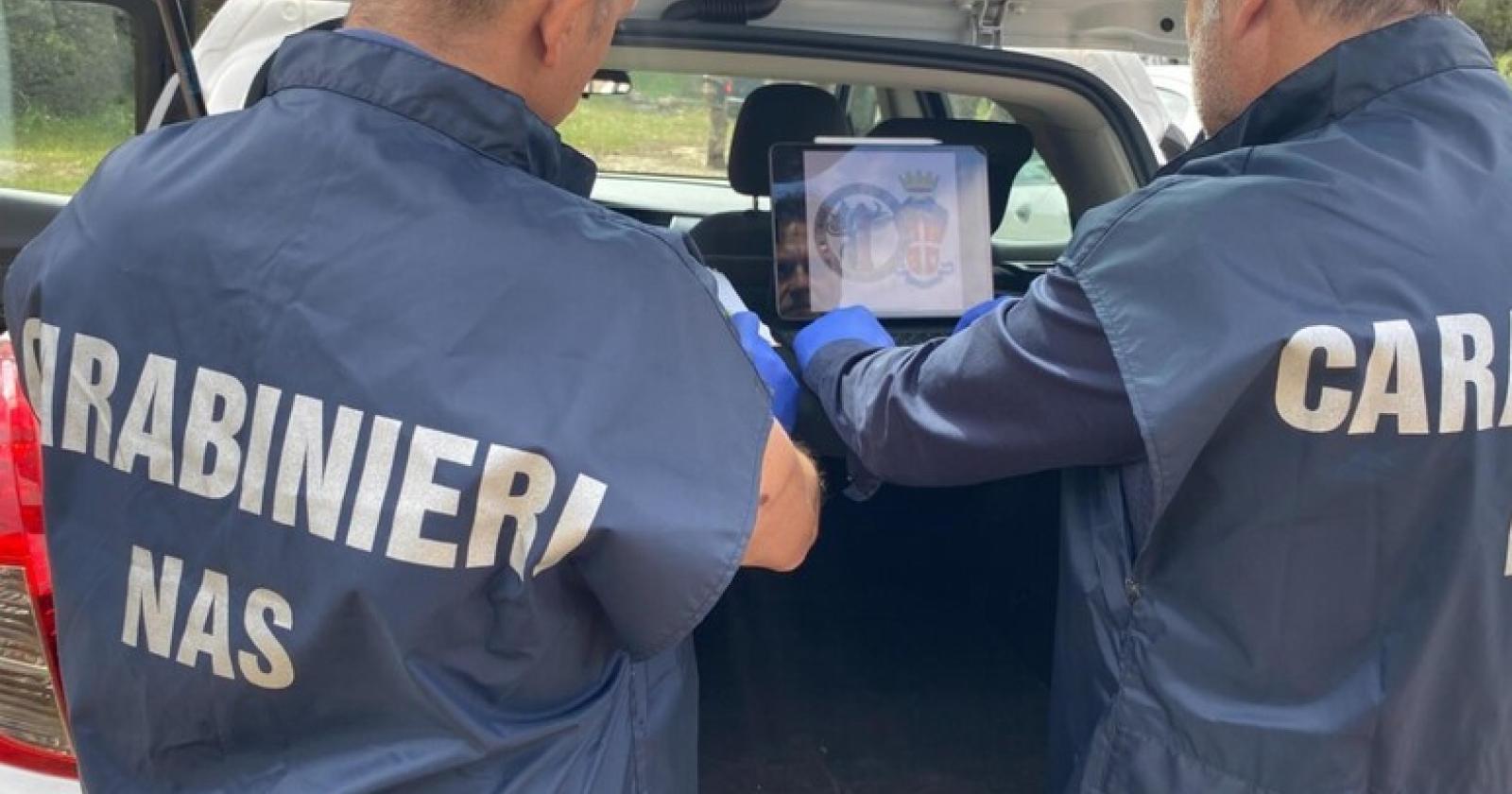 Peste Suina a Padova: Scoperta Carne Contaminata in Negozio Etnico