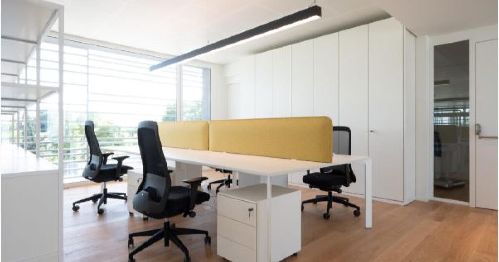 Arredare l’ufficio in modo estetico e funzionale: ecco i consigli di maggior tendenza