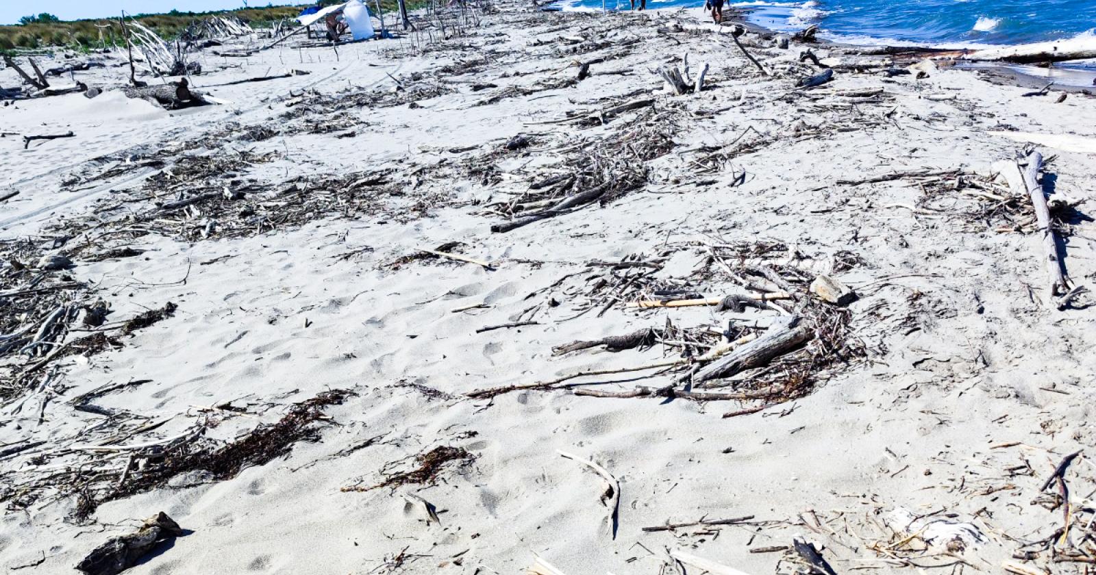 “Caleri, spiaggia indecente”