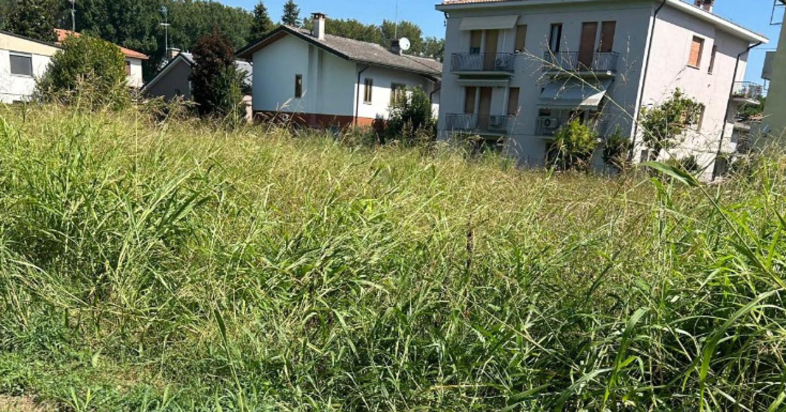 "Sfalcio non fatto": quartiere in rivolta