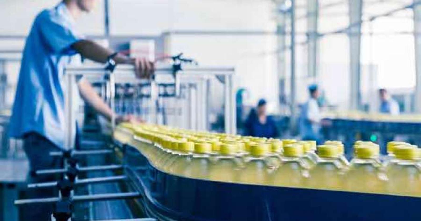 Una bella opportunità per chi non ha lavoro