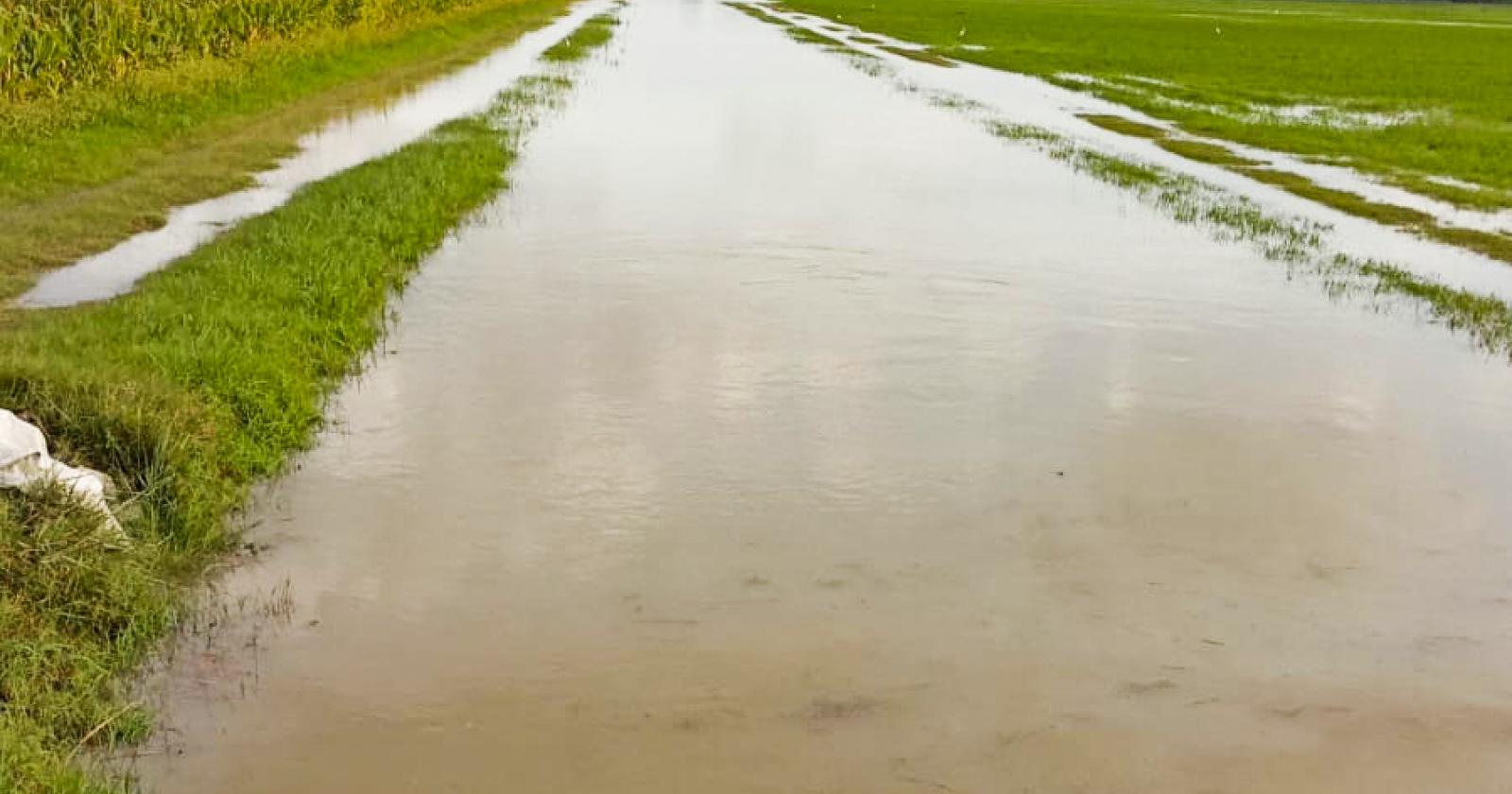 Campi sott'acqua, tutto da rifare