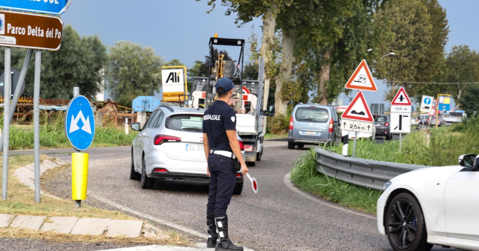 Cade un albero, strada bloccata