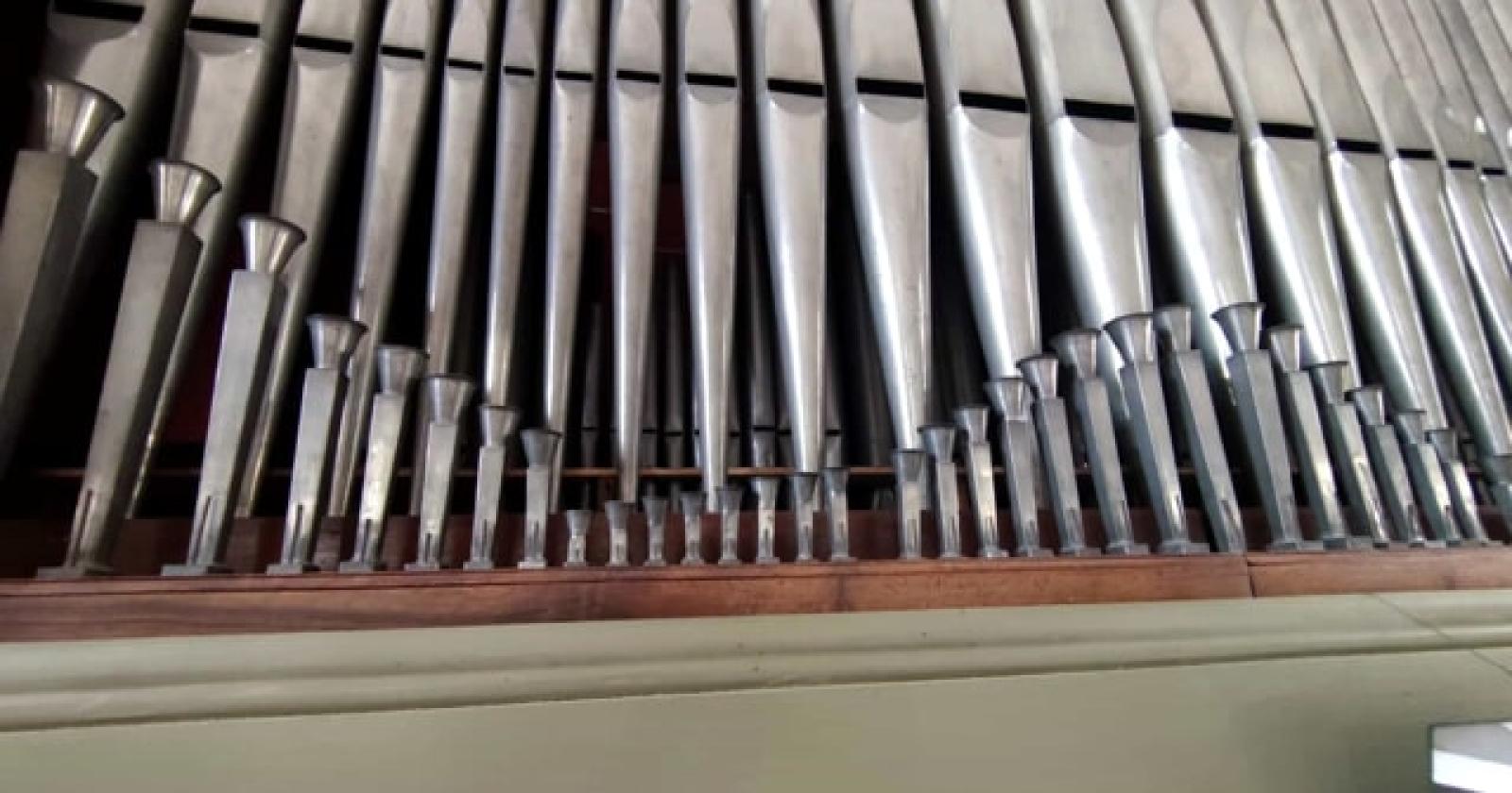 Il mistero delle canne d'organo rubate: un'indagine che scuote Mogliano Veneto e Preganziol
