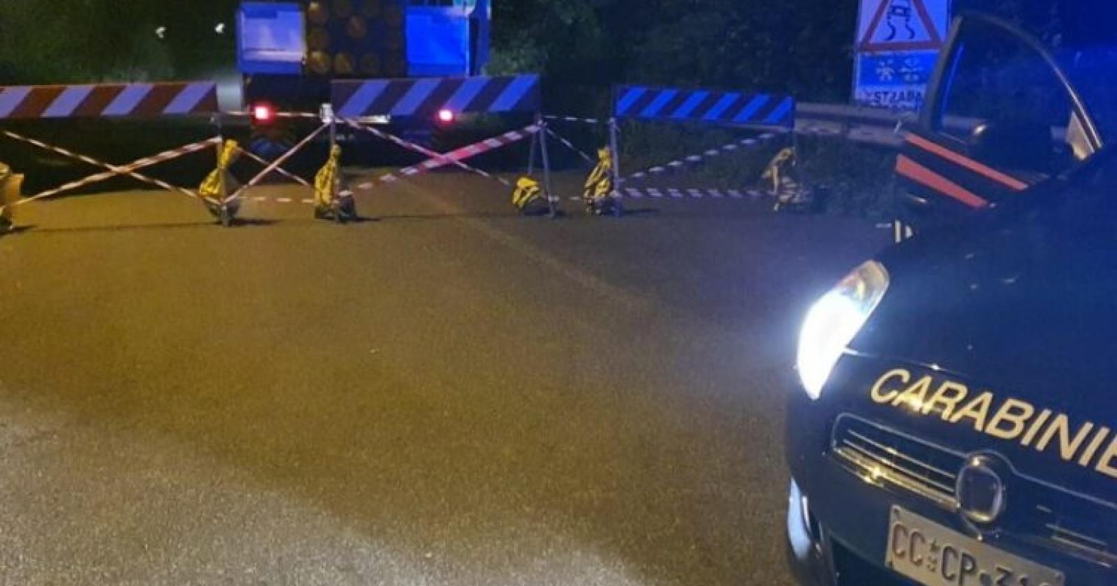 Albero cade su due auto Transpolesana in tilt