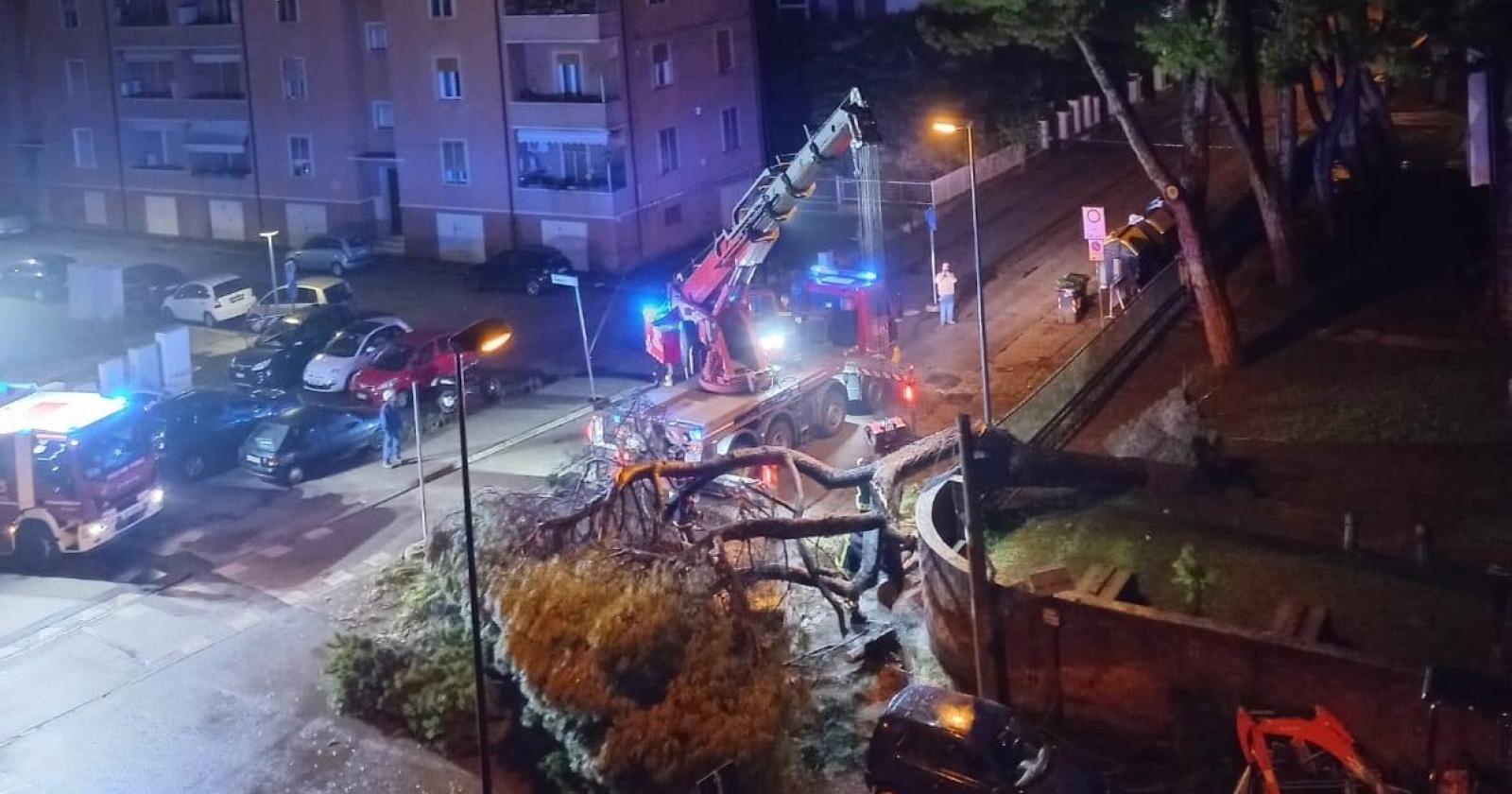 Crolla un albero vicino alla Pascoli