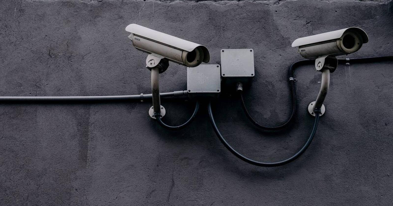 Furto in diretta: arrestato un ladro grazie alla tecnologia e al coraggio dei proprietari
