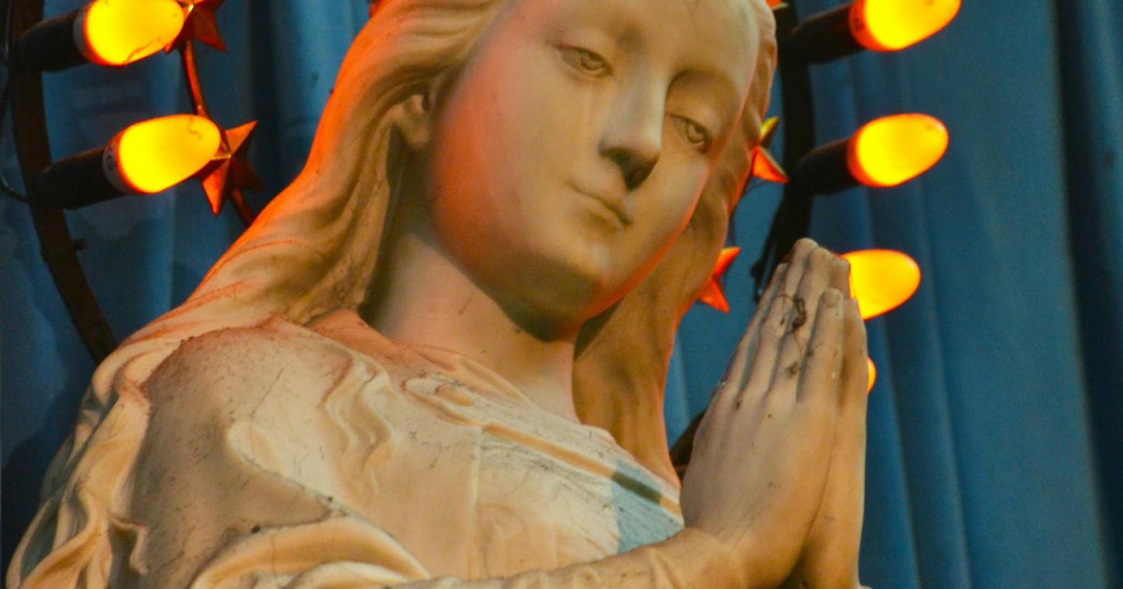 Immacolata Concezione dell'8 dicembre