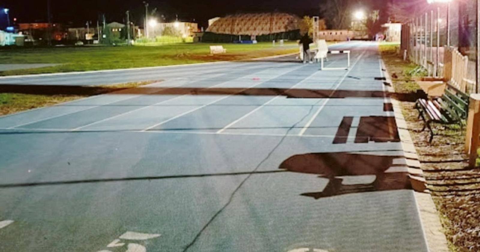 Si accendano i riflettori sull’atletica