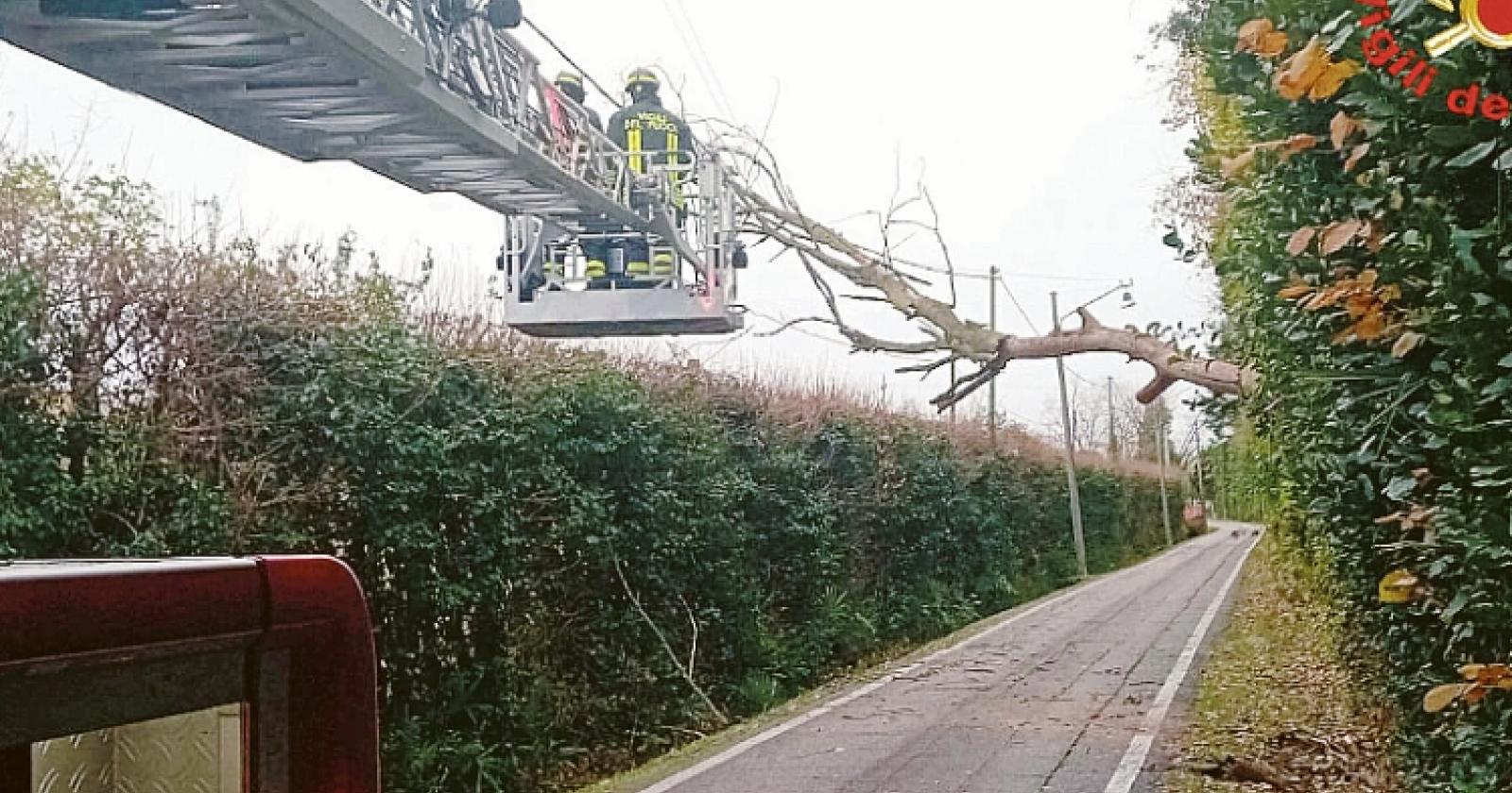 Alberi caduti, allagamenti e disagi