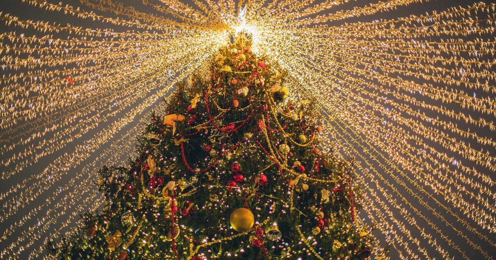 Oggi è la Vigilia di Natale