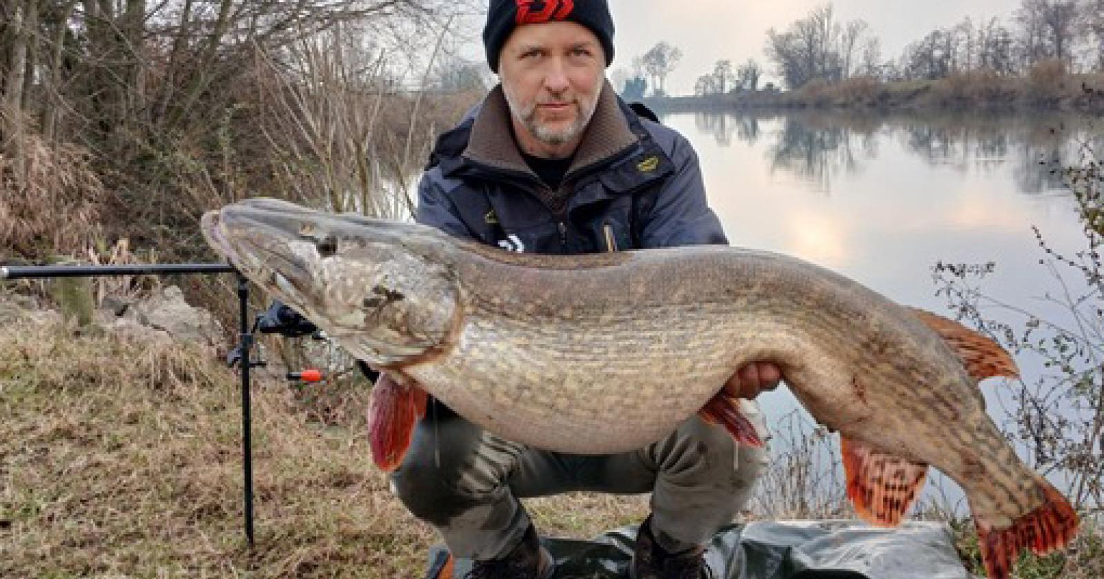 Luccio da record nel Sile: il segreto di Emanuele, il pescatore che ha catturato un mostro da 18,5 chili