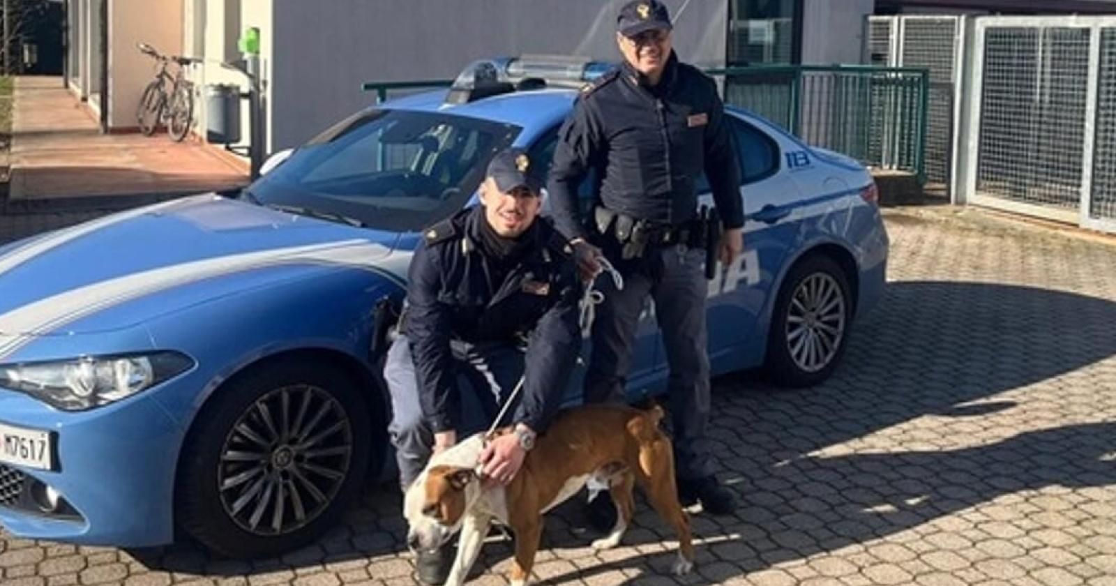 Un Cane, una Piazza e una Città: Storie di Violenza e Resilienza a Padova