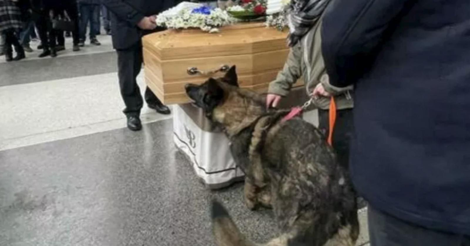 Il legame indissolubile tra uomo e animale: storie di amore e fedeltà
