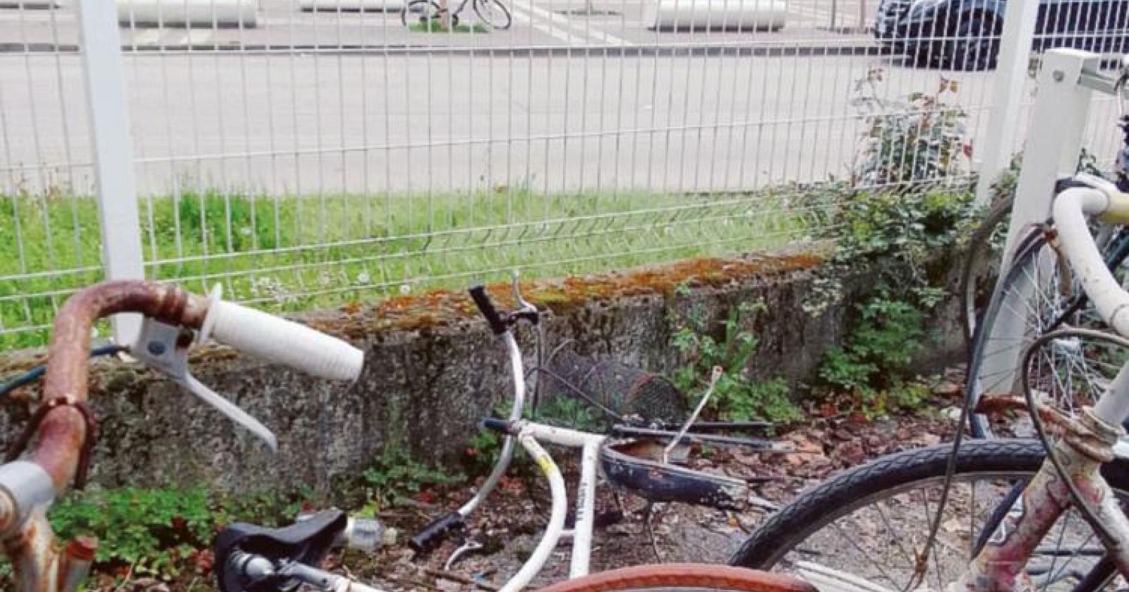 Scheletri di bici alla stazione