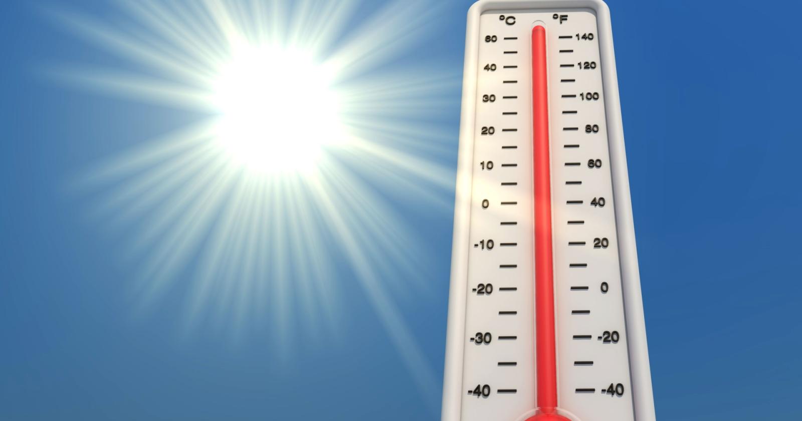 Contro il caldo, ecco il protocollo veneto