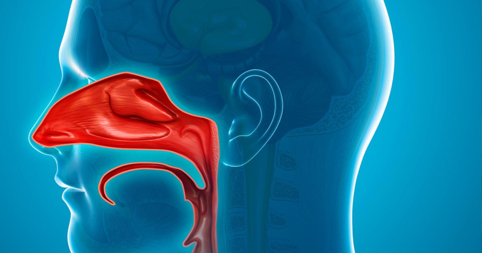 Nuove frontiere nella cura della poliposi nasale: la rivoluzione delle terapie biologiche