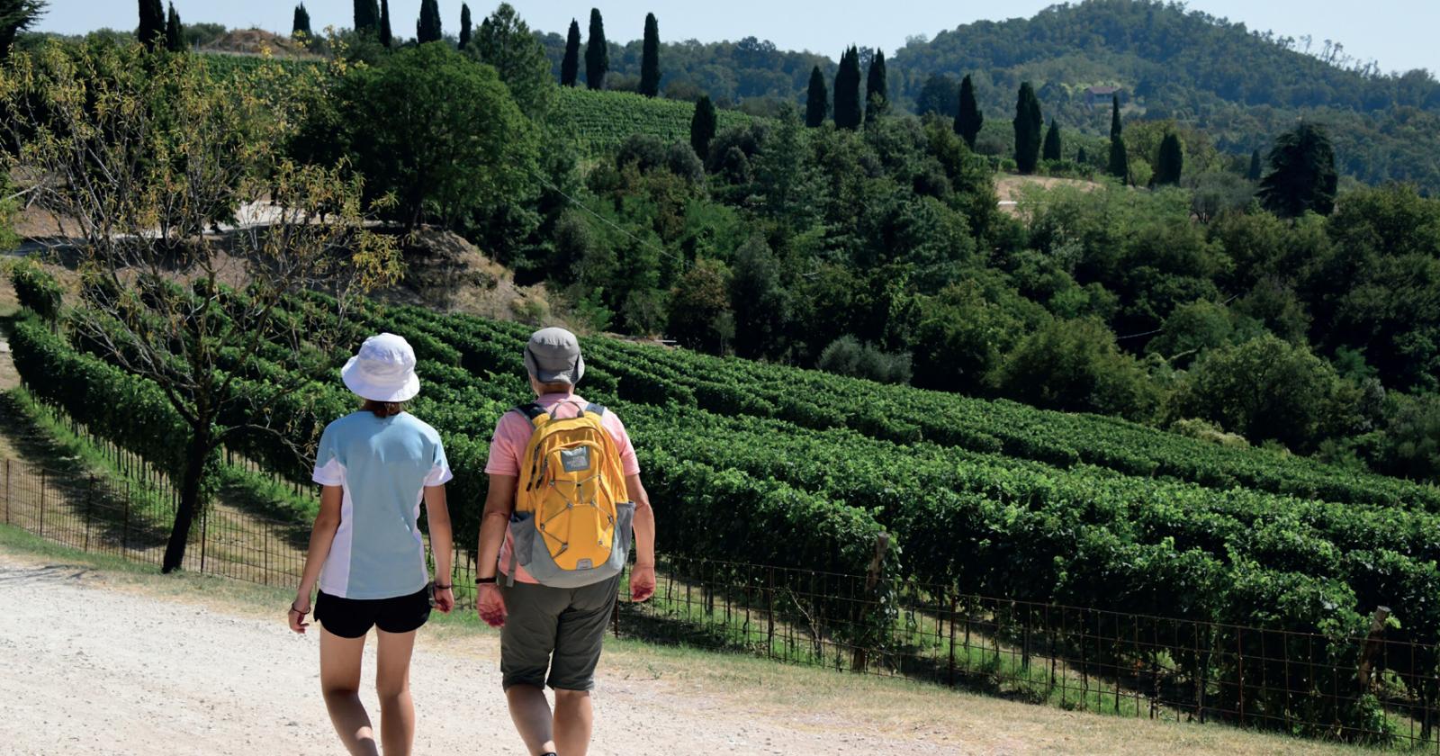 Il benessere a piedi nella natura