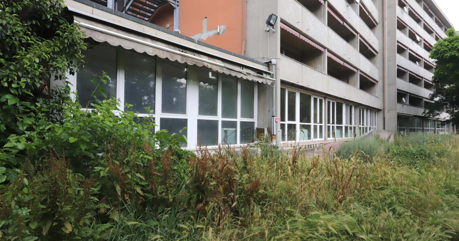 Una jungla nel cuore del quartiere