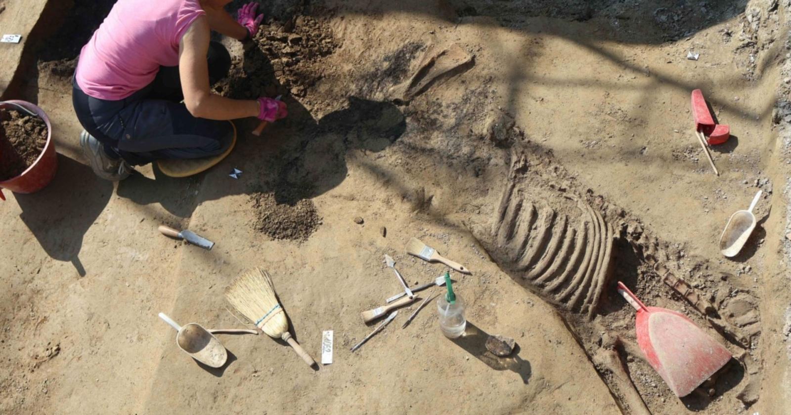 Necropoli emersa durante i lavori per uno studentato