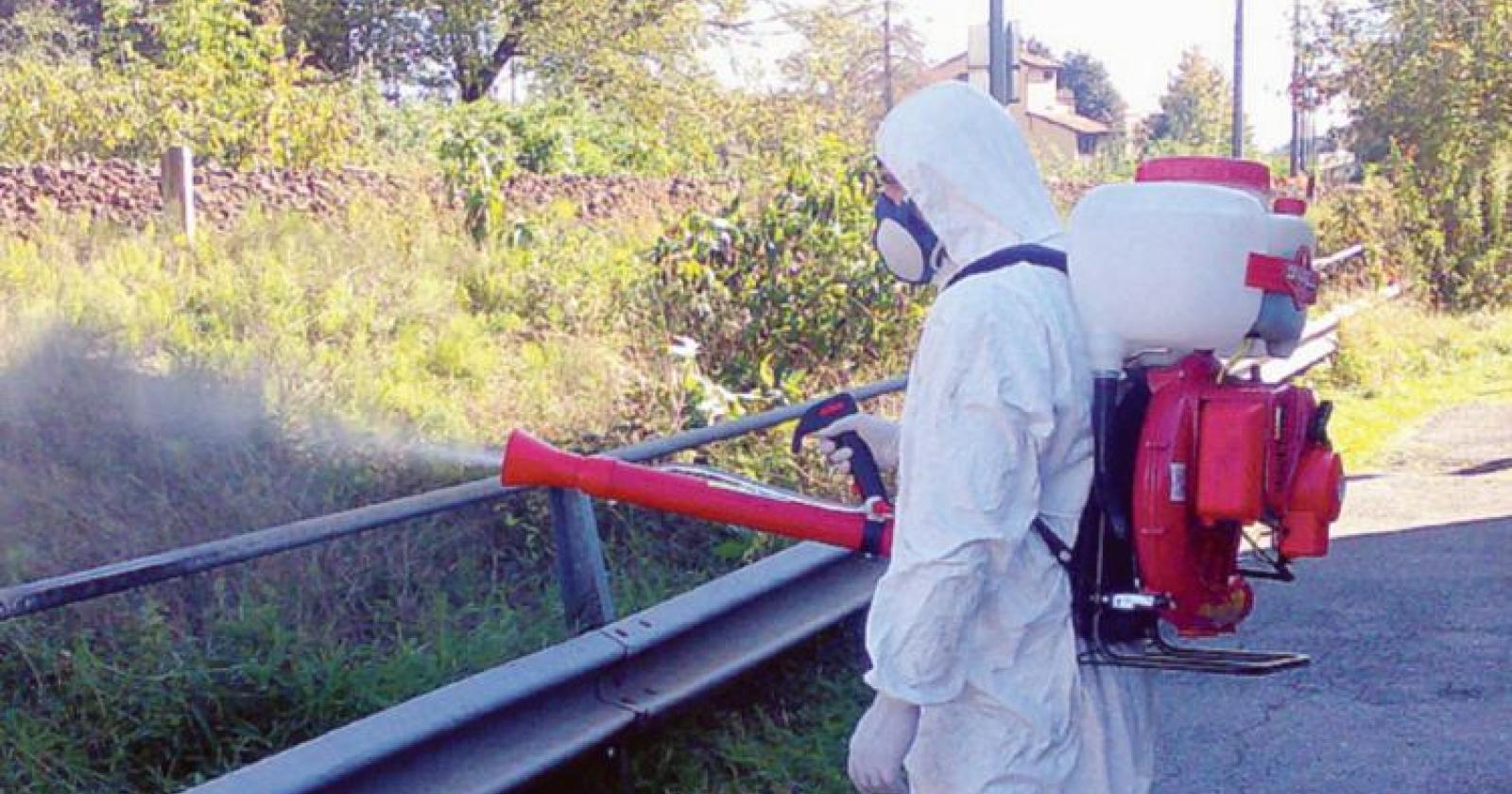 Pastiglie antizanzare a giugno