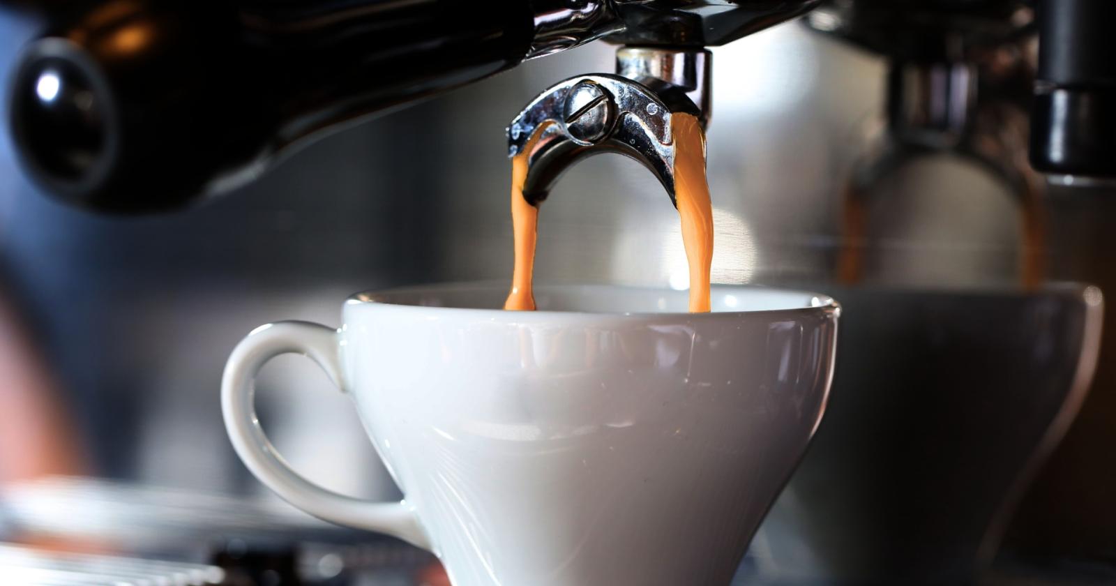 Crisi del caffè: l'Italia affronta una sfida senza precedenti