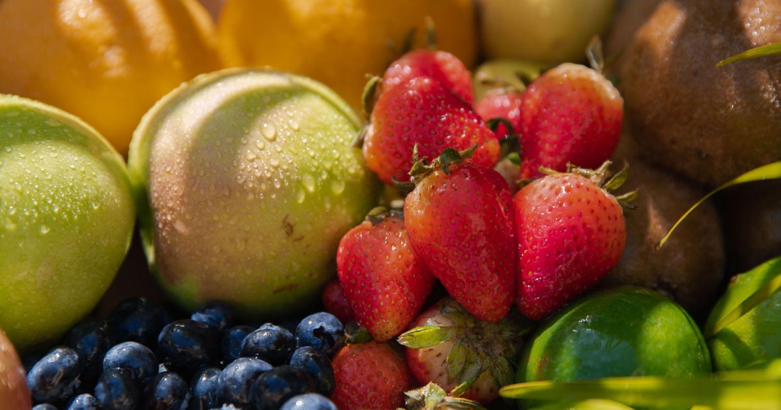 allarme salmonella: l'epidemia che minaccia la frutta estiva nel regno unito