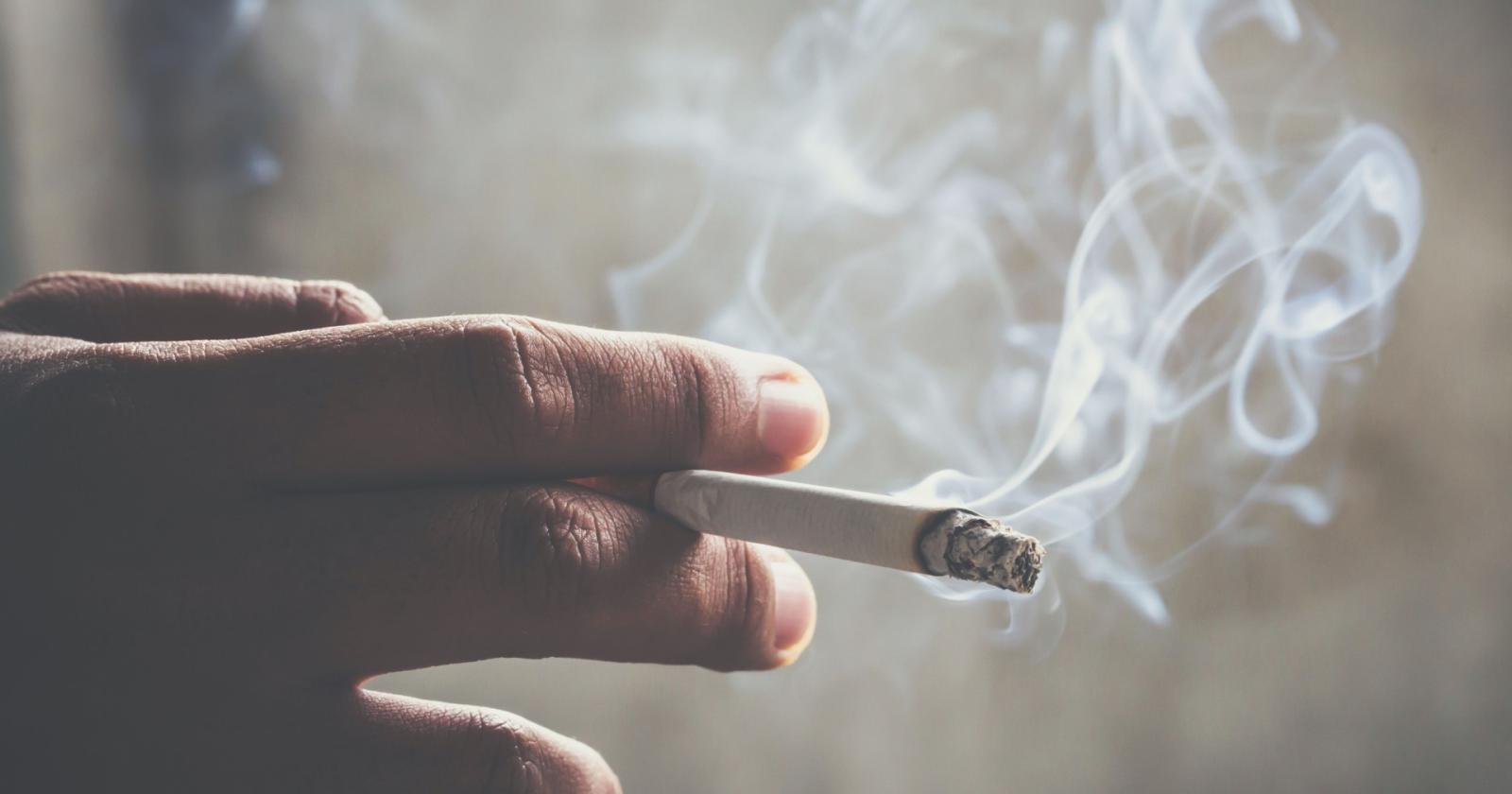 giornata mondiale senza tabacco: un respiro di consapevolezza a belluno