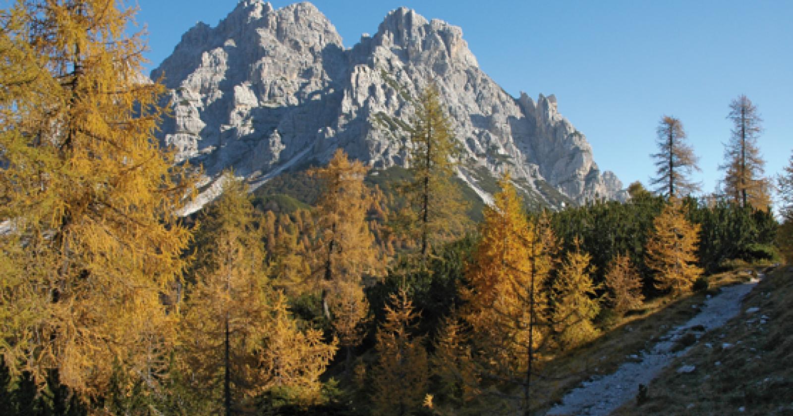 Tragedia sulle Dolomiti: la sicurezza dei sentieri sotto accusa dopo la morte di Maria Straniero