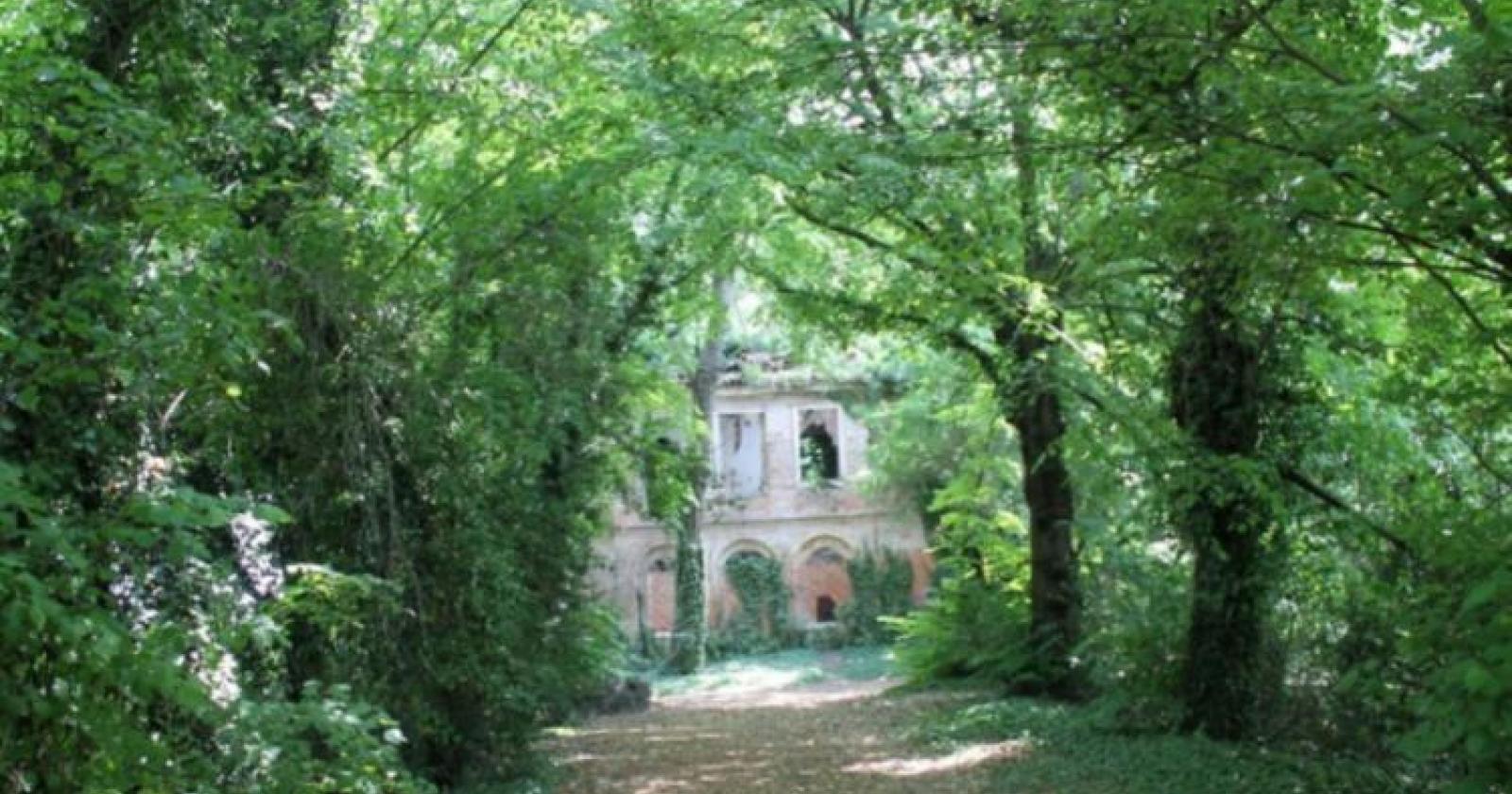 Pulizia e sfalcio a parco Langer