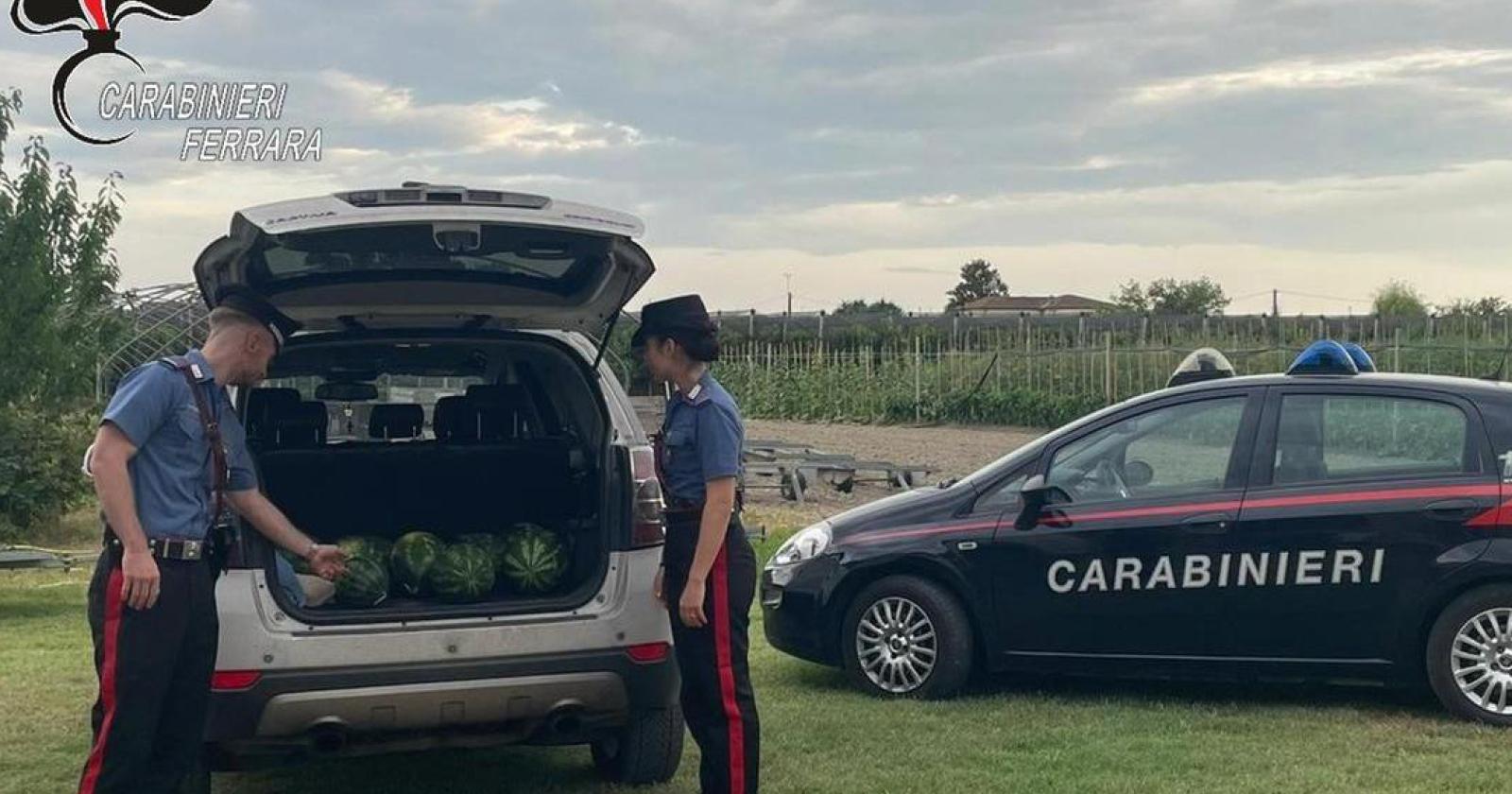 Rubano angurie a Coccanile: arrestati due uomini in flagranza di reato