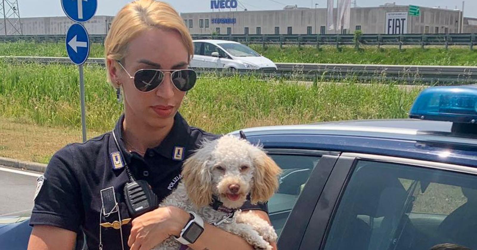 In auto sotto al sole: salvato