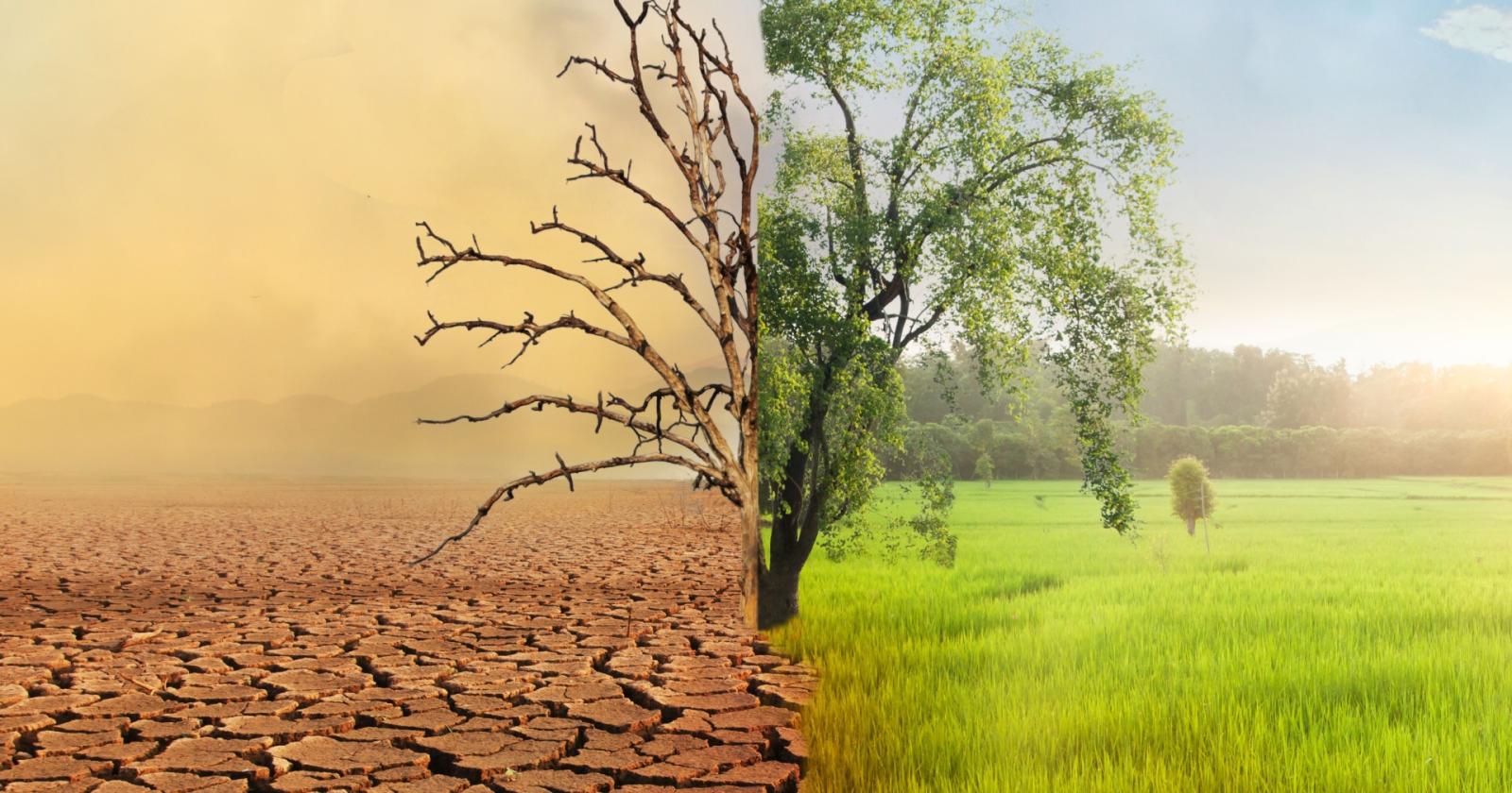 giovani americani sfidano trump: il cambiamento climatico è incostituzionale?