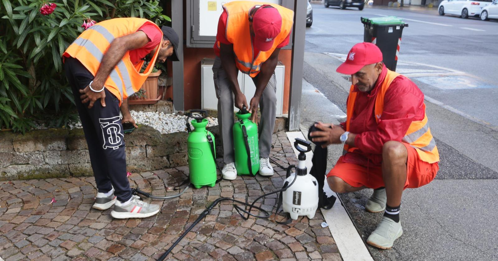 Virus Chikungunya, si disinfesta a tappeto