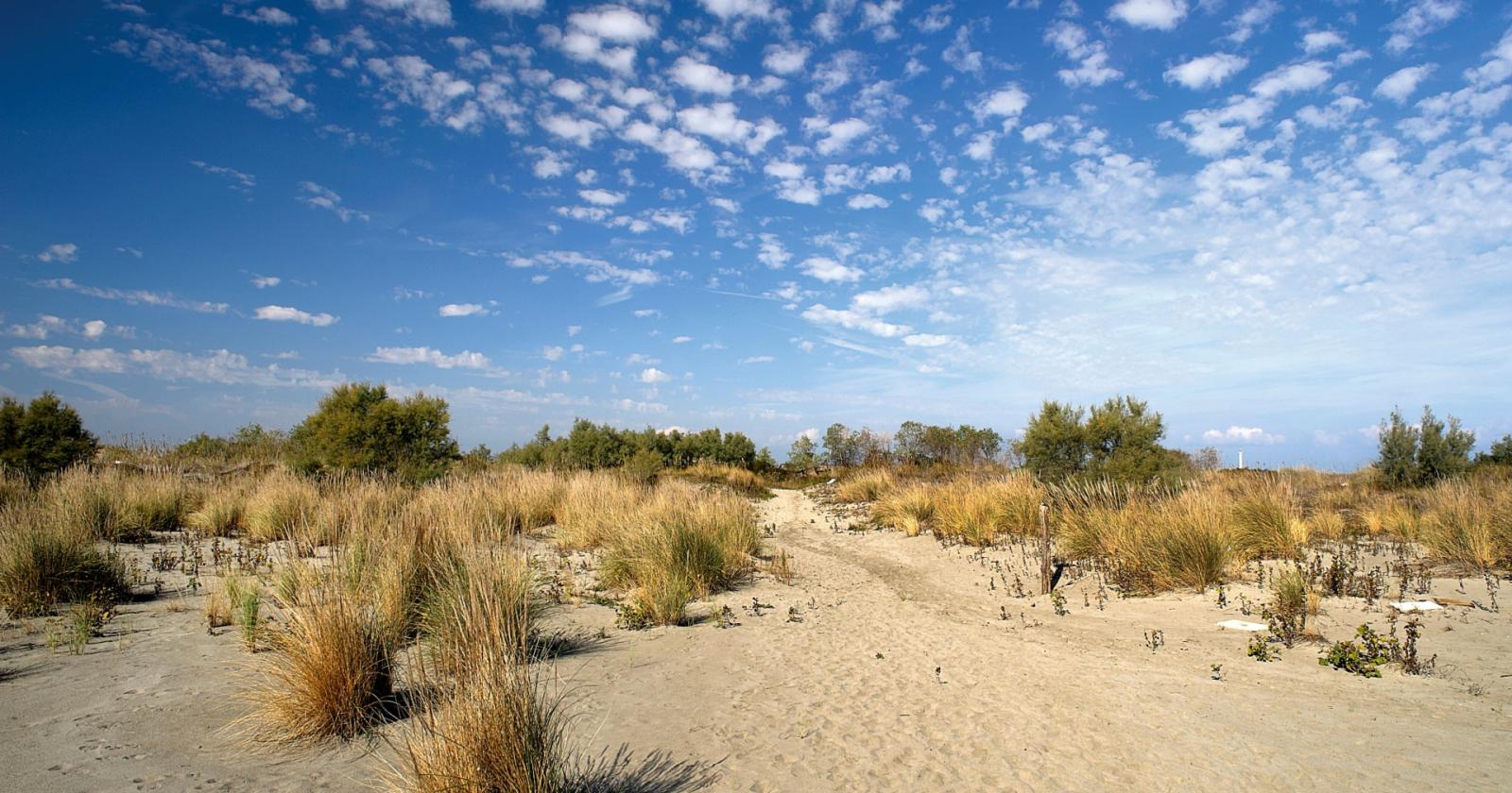 Spiagge libere al lumicino: numeri, canoni e la grande occasione mancata dell’Italia