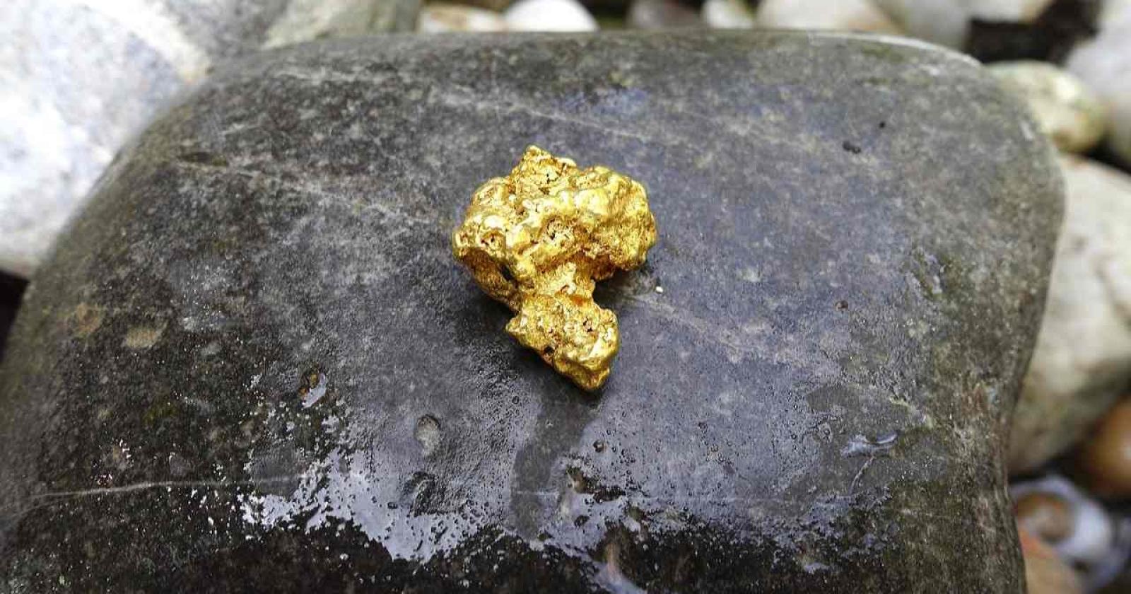 Oro nel Po. E non è uno scherzo