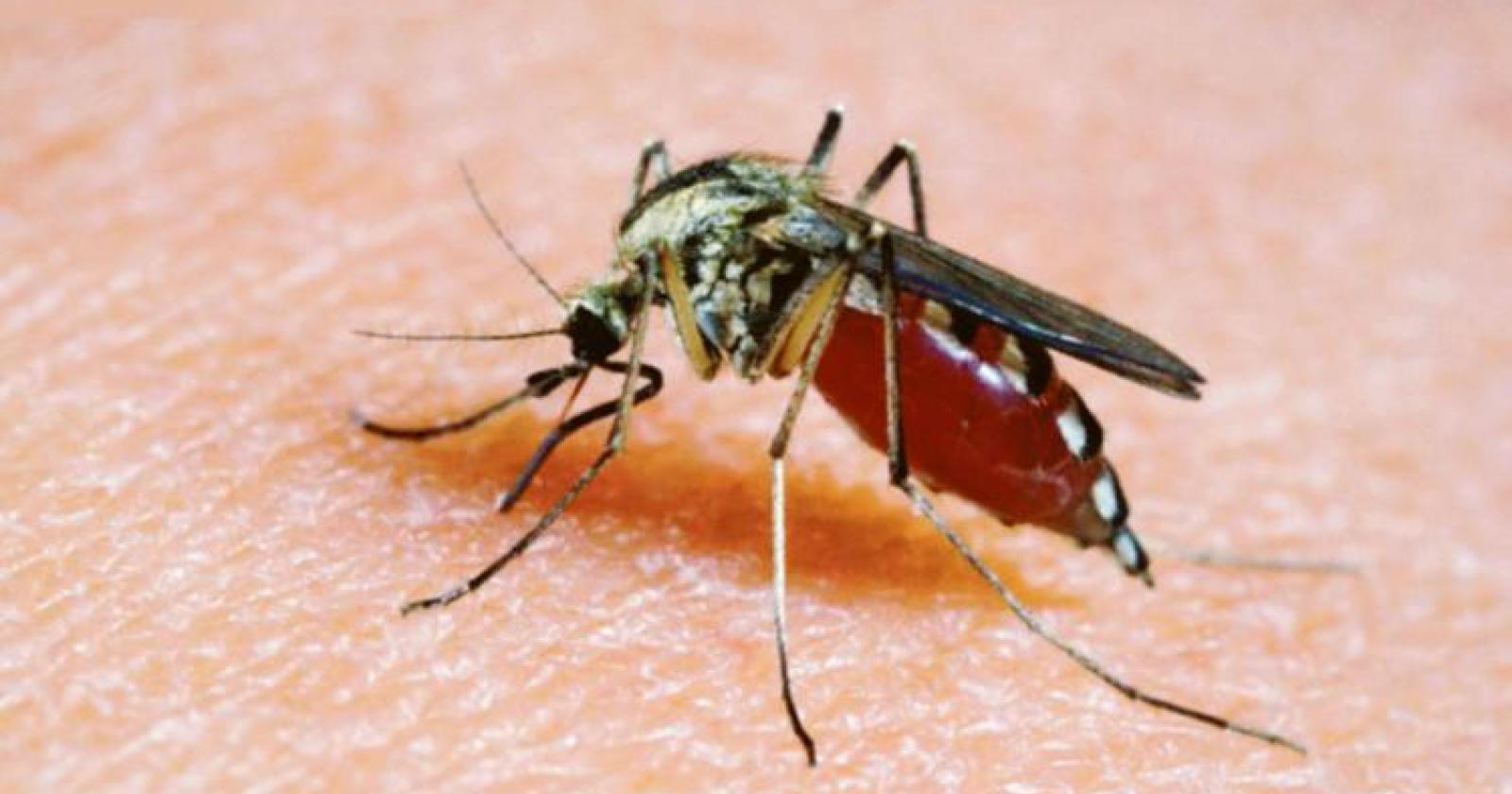 Più prevenzione e informazione