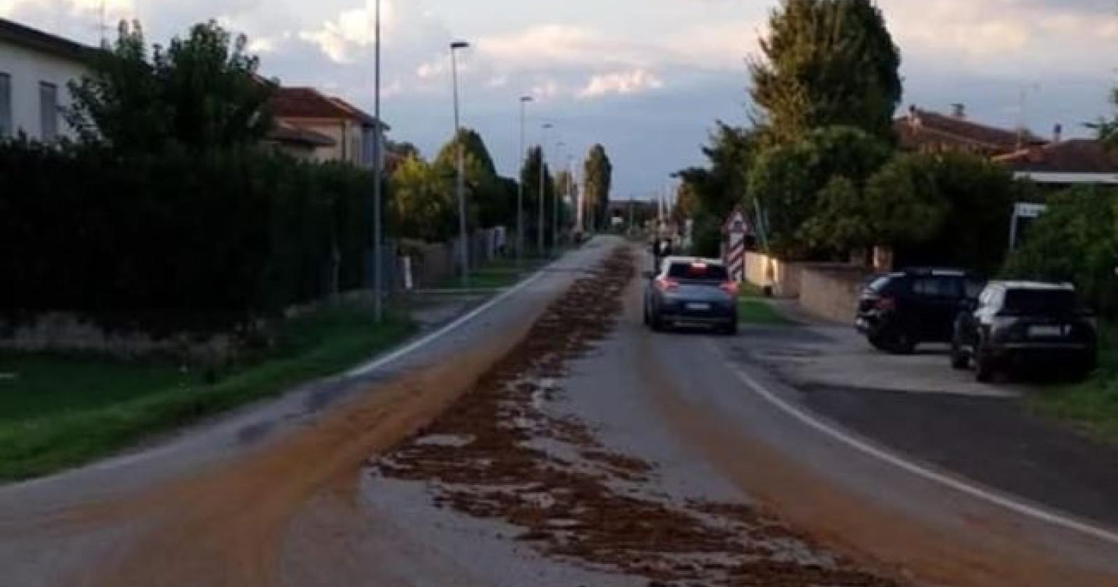 Camion perde escrementi: chiusa la strada