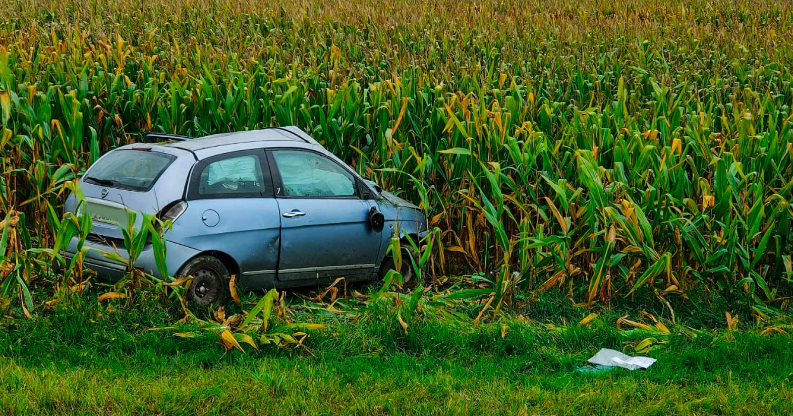 Si ribalta nel campo: ferita