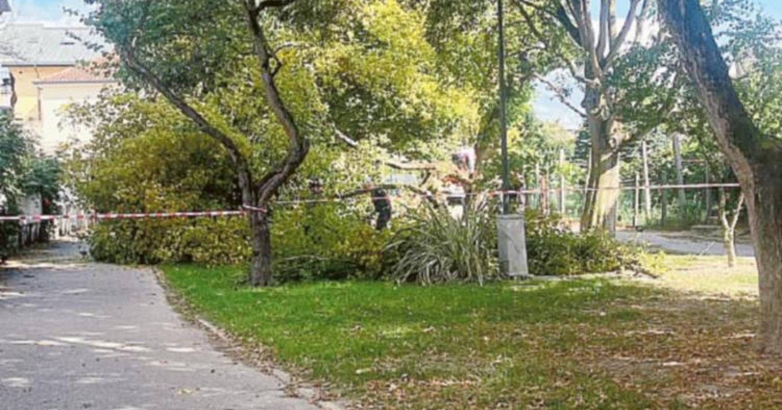 E’ venuto giù un albero in ciclabile