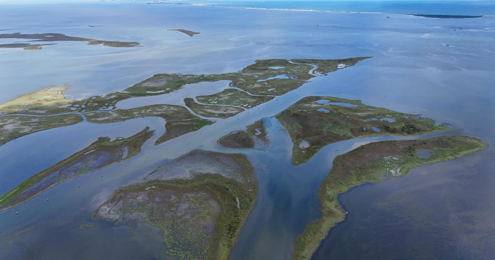 Il Veneto guida in Europa la sfida per la tutela del Mare Adriatico 