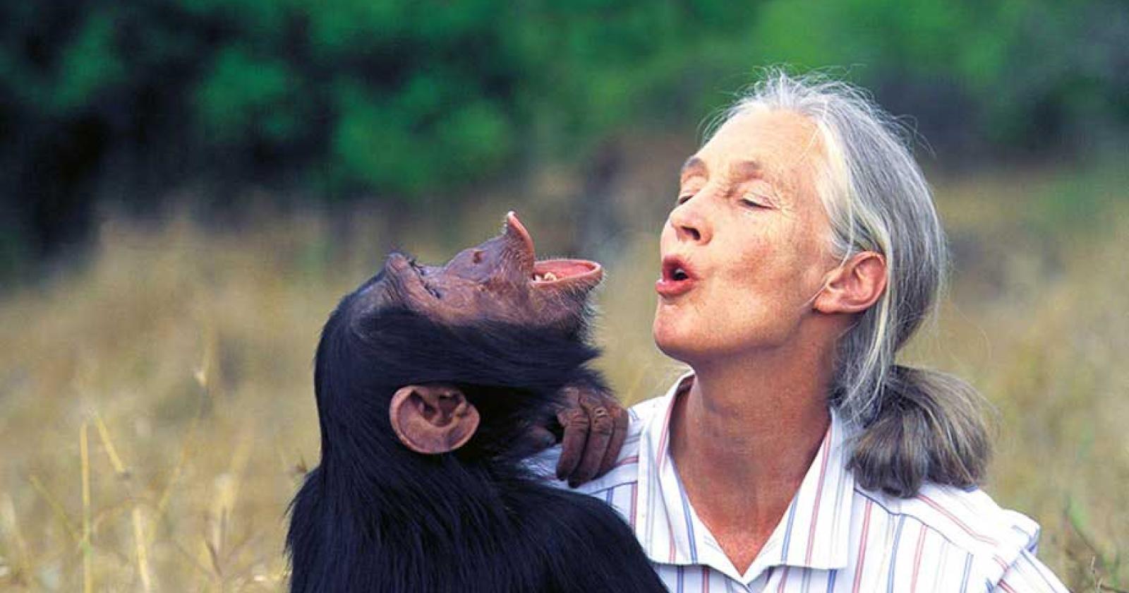 Addio a Jane Goodall
